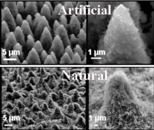 Nano biotech