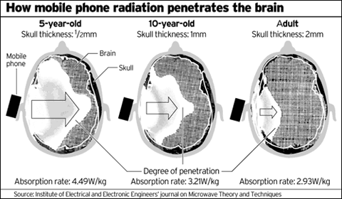 EMFs/Cell Radiation on Brain