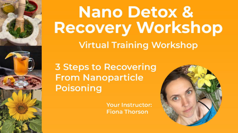 Nano Detox Workshop