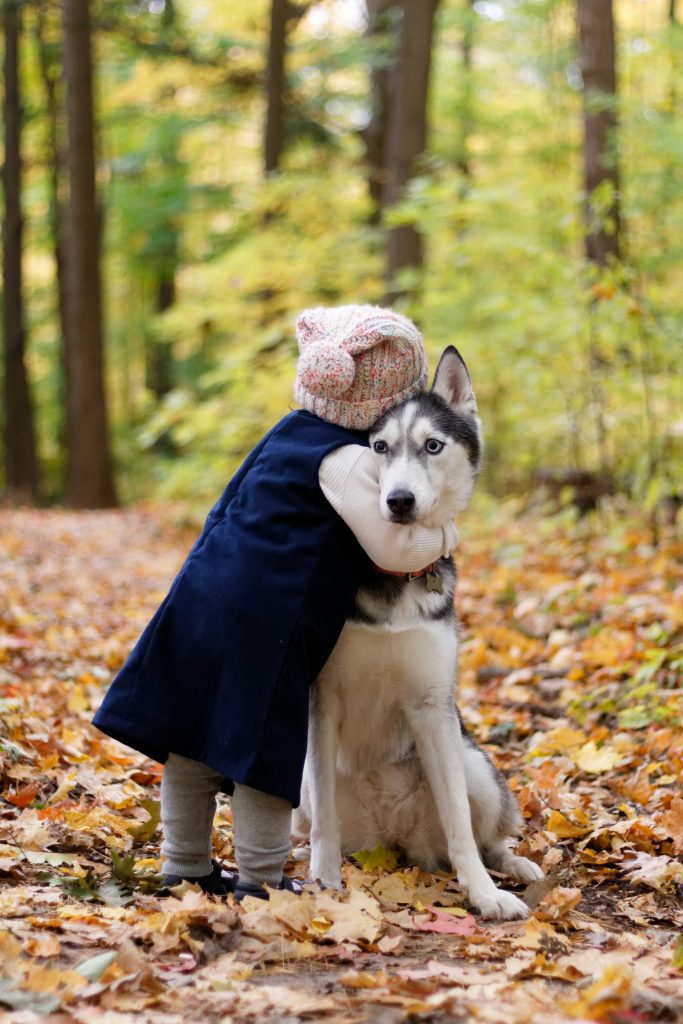 Kid hugs dog